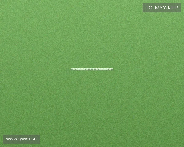 鲸鱼体育手机版官网全面升级探索全新体育娱乐体验与创新服务